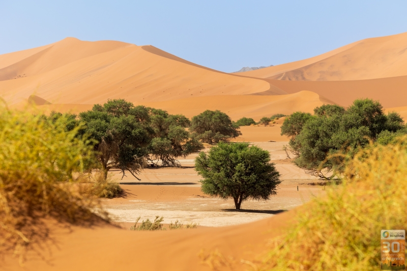 Jubiläumsreise Deutscher Reisering nach Namibia
