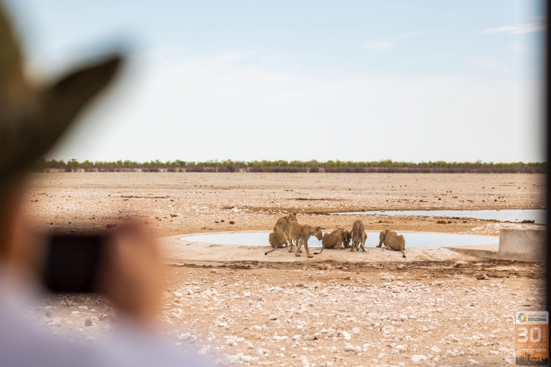 Jubiläumsreise Deutscher Reisering nach Namibia