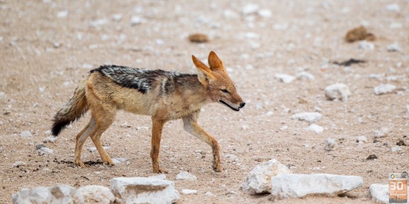 Jubiläumsreise Deutscher Reisering nach Namibia