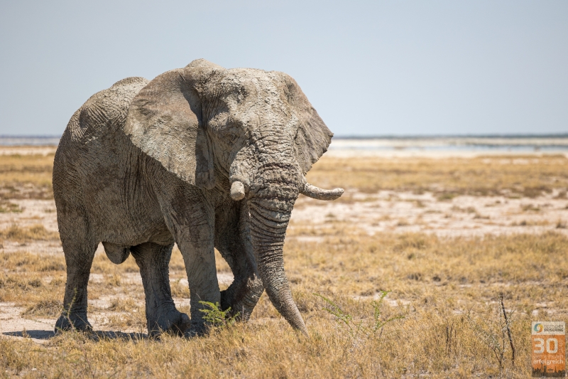 Jubiläumsreise Deutscher Reisering nach Namibia