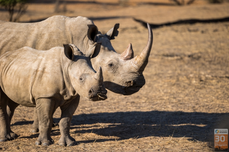 Jubiläumsreise Deutscher Reisering nach Namibia